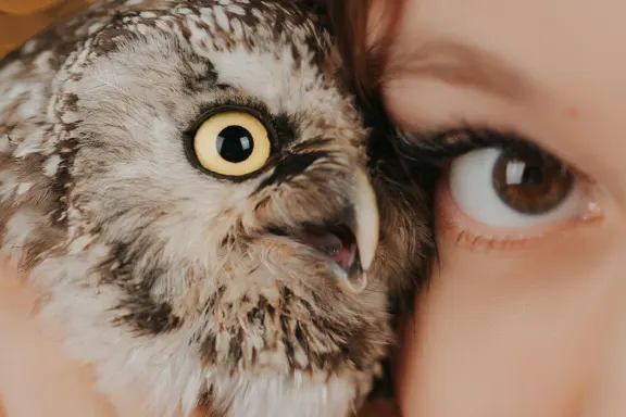 Casino AllStar Slots Ënnerstëtzung